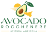 Avocado Rocchenere